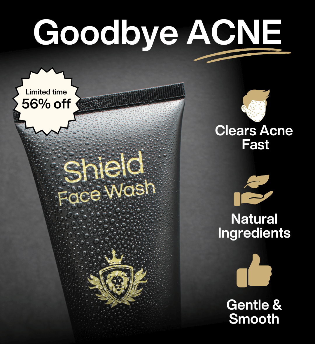 Shield Labs System