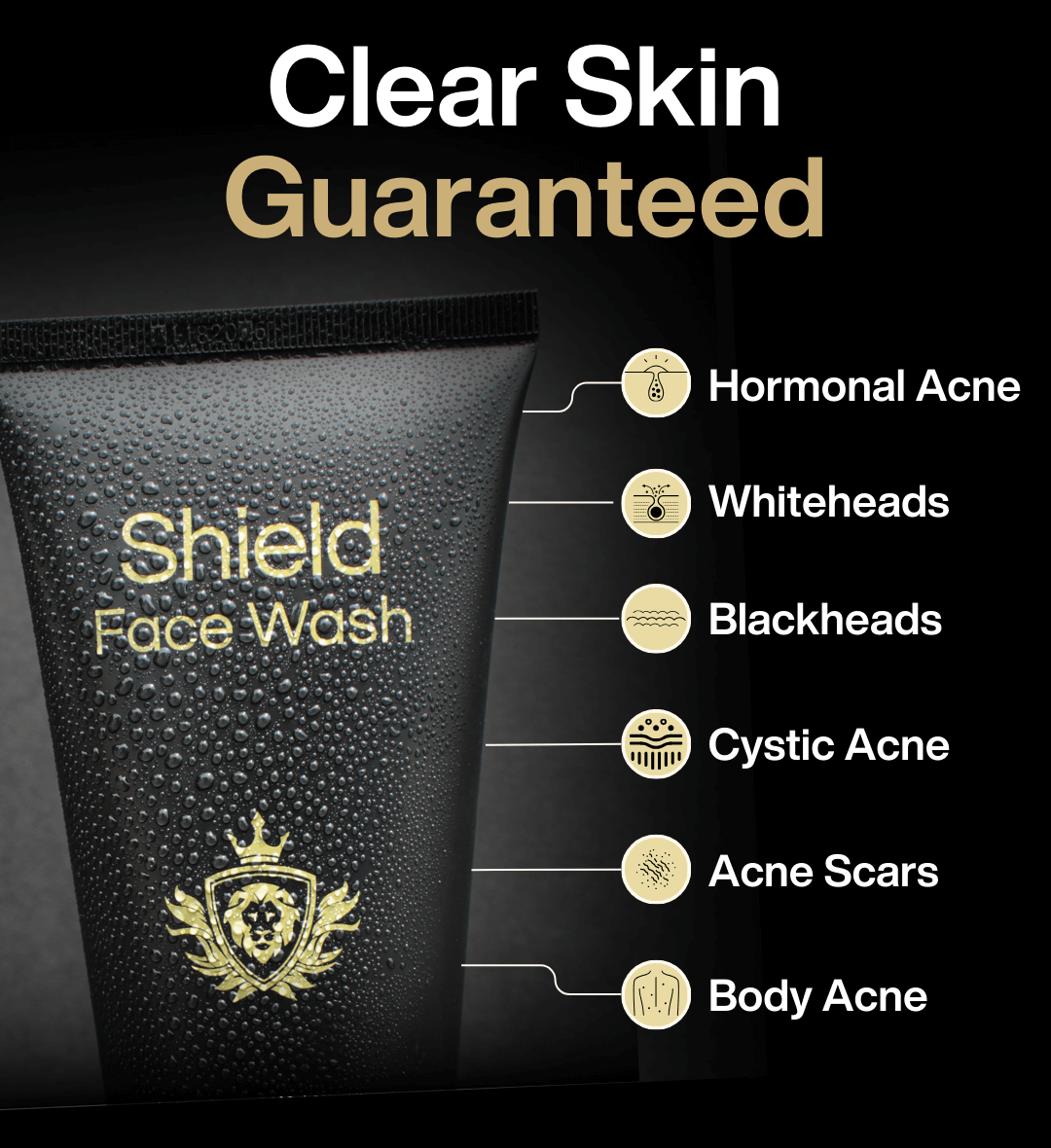 Shield Labs System